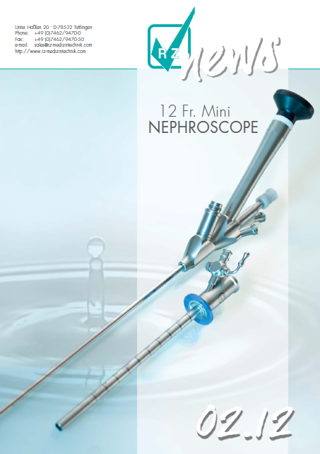 mini nephroscope